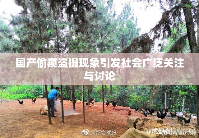 国产偷窥盗摄现象引发社会广泛关注与讨论