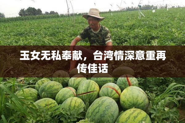 玉女无私奉献，台湾情深意重再传佳话