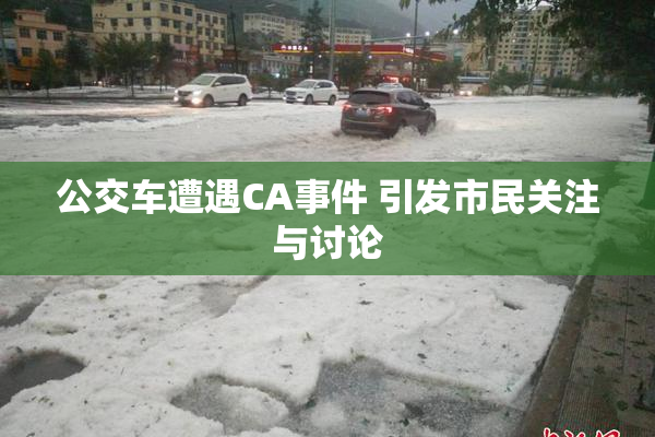 公交车遭遇CA事件 引发市民关注与讨论
