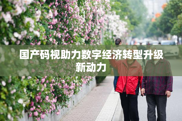 国产码视助力数字经济转型升级新动力