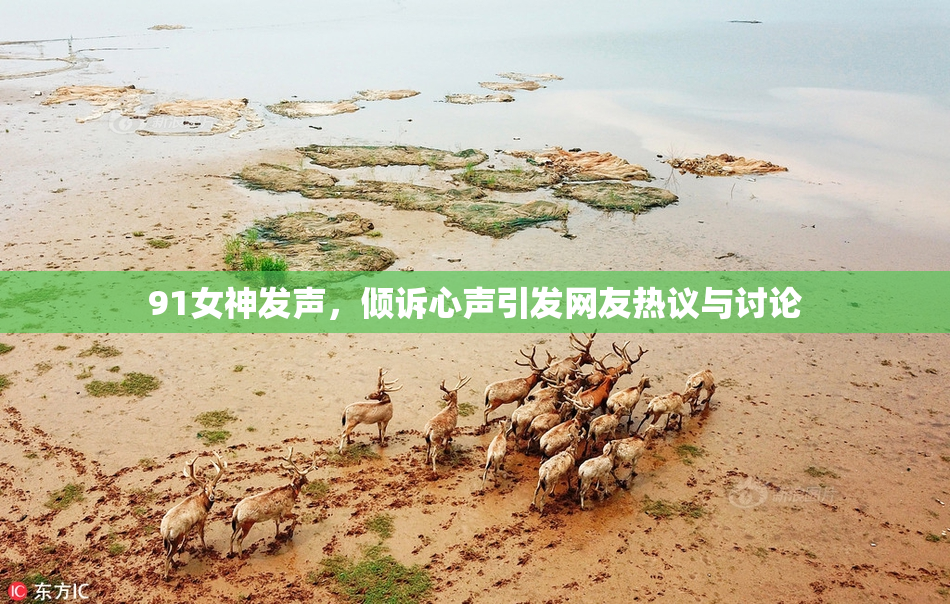 91女神发声，倾诉心声引发网友热议与讨论