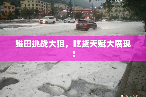 雏田挑战大狙，吃货天赋大展现！