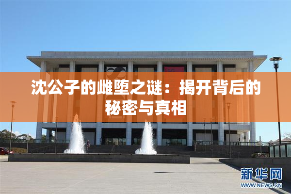 沈公子的雌堕之谜：揭开背后的秘密与真相