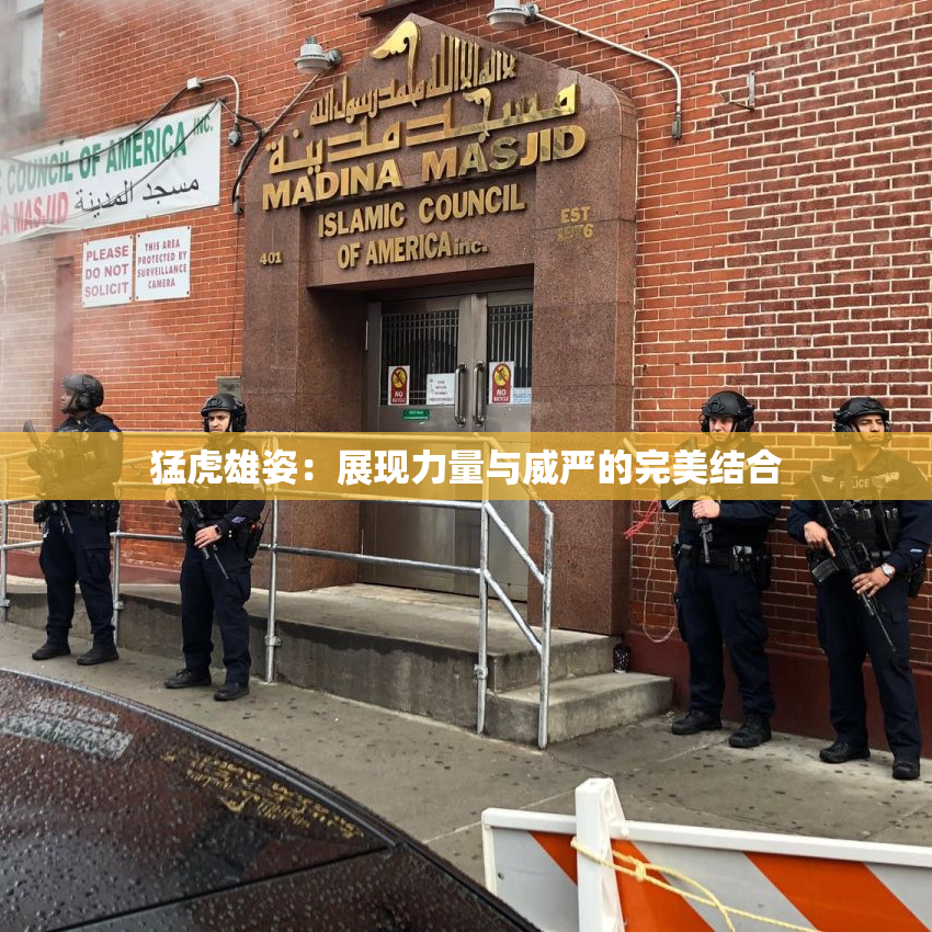 猛虎雄姿：展现力量与威严的完美结合