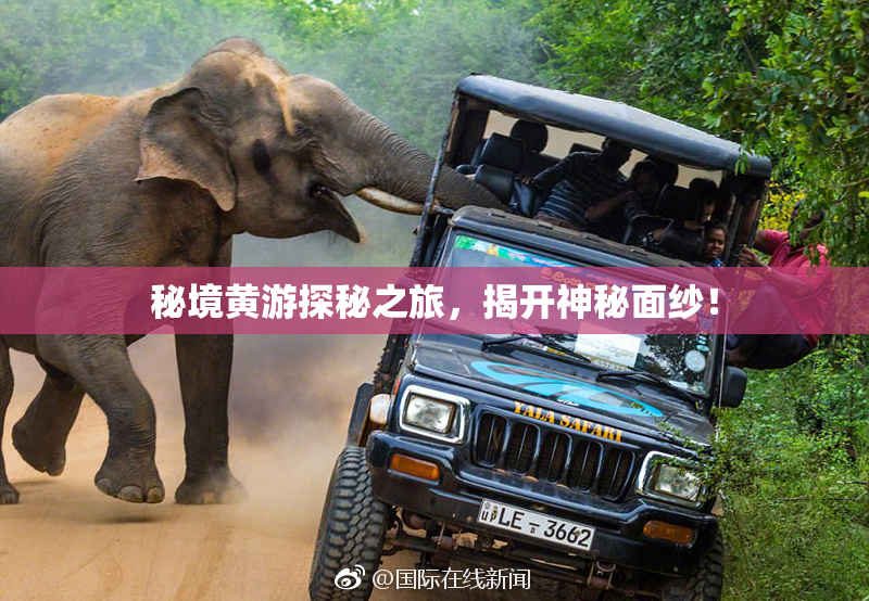 秘境黄游探秘之旅，揭开神秘面纱！
