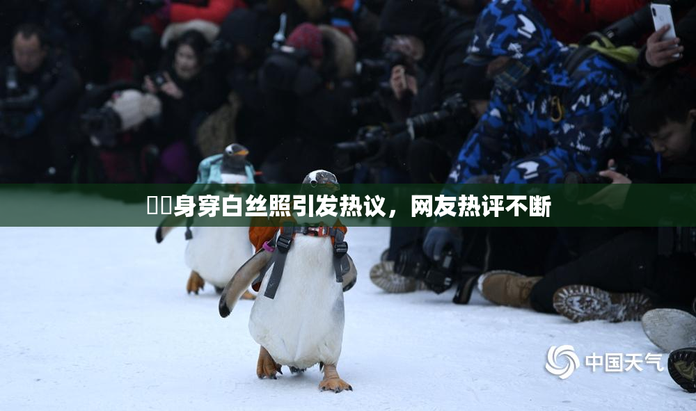 妺妺身穿白丝照引发热议，网友热评不断