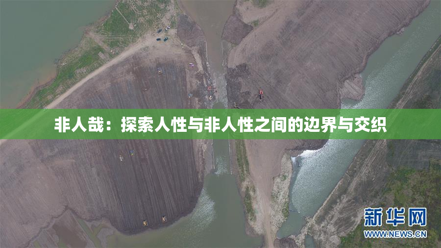非人哉：探索人性与非人性之间的边界与交织