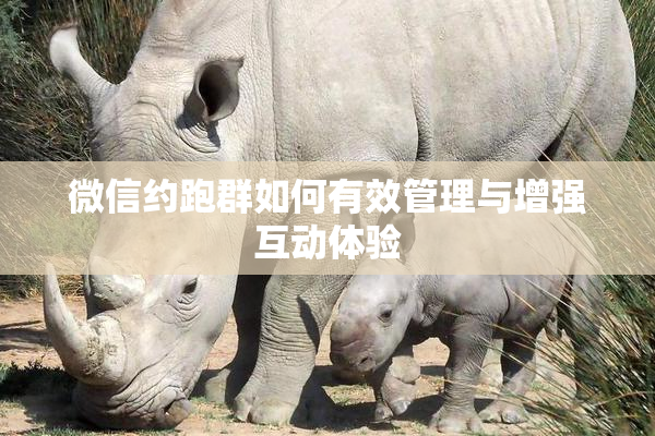 微信约跑群如何有效管理与增强互动体验