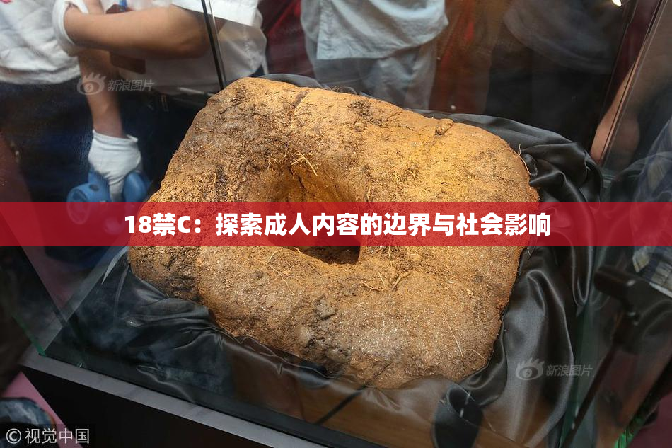 18禁C：探索成人内容的边界与社会影响