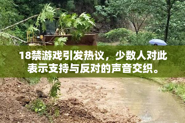 18禁游戏引发热议，少数人对此表示支持与反对的声音交织。