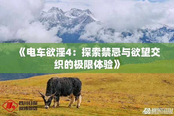 《电车欲淫4：探索禁忌与欲望交织的极限体验》