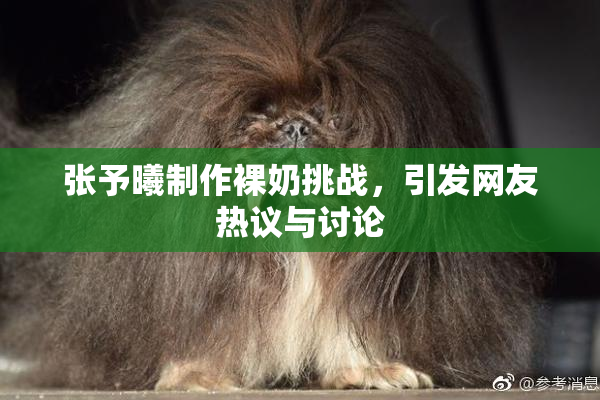张予曦制作裸奶挑战，引发网友热议与讨论