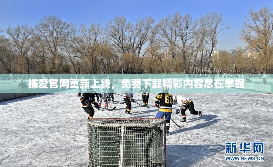 拣爱官网重新上线，免费下载精彩内容尽在掌握
