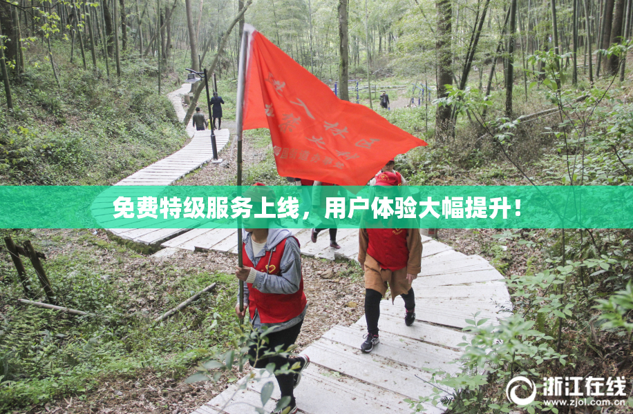 免费特级服务上线，用户体验大幅提升！