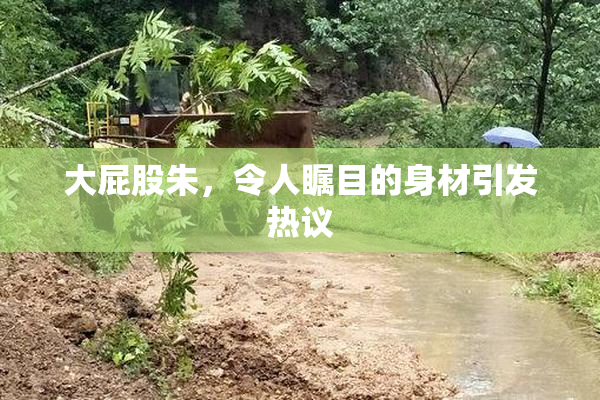 大屁股朱，令人瞩目的身材引发热议