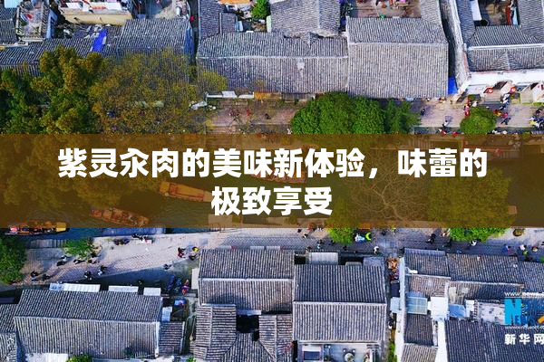 紫灵汆肉的美味新体验，味蕾的极致享受