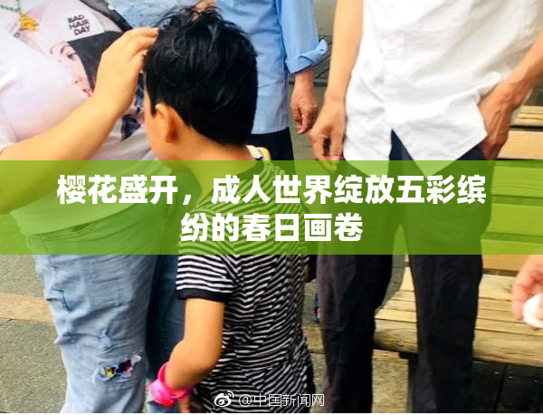 樱花盛开，成人世界绽放五彩缤纷的春日画卷
