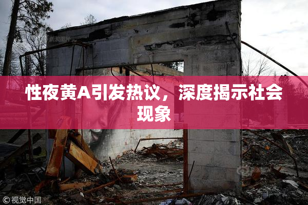 性夜黄A引发热议，深度揭示社会现象