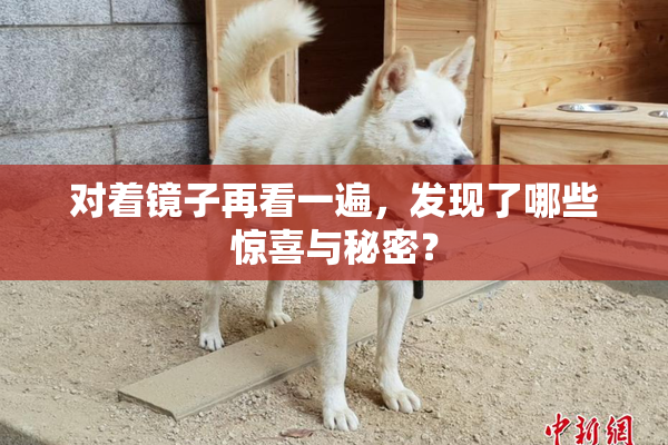 对着镜子再看一遍，发现了哪些惊喜与秘密？