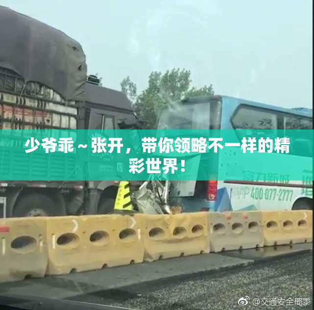 少爷乖～张开，带你领略不一样的精彩世界！