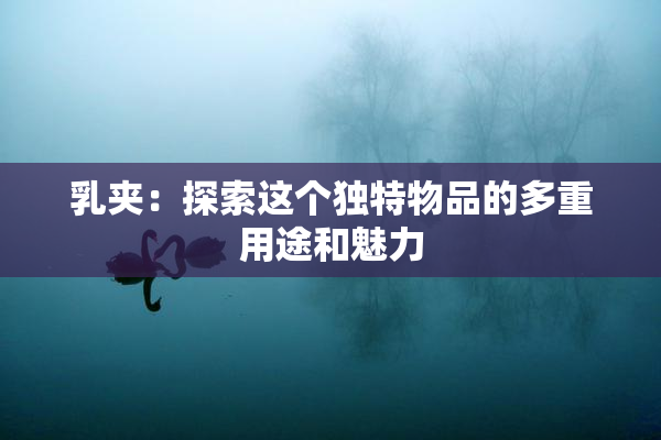 乳夹：探索这个独特物品的多重用途和魅力