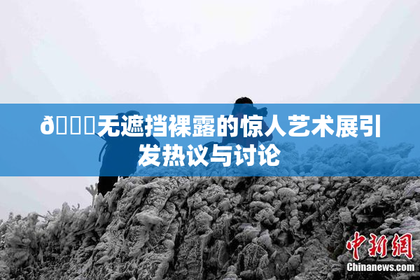 🔞无遮挡裸露的惊人艺术展引发热议与讨论