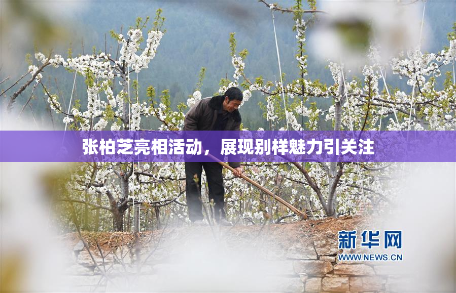 张柏芝亮相活动，展现别样魅力引关注