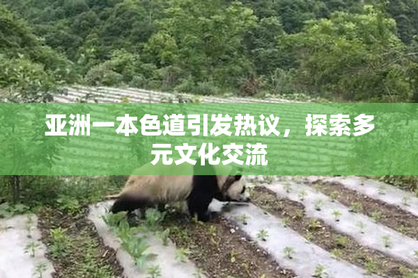 亚洲一本色道引发热议，探索多元文化交流