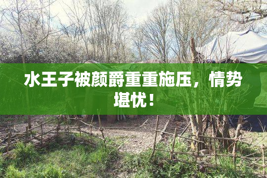 水王子被颜爵重重施压，情势堪忧！