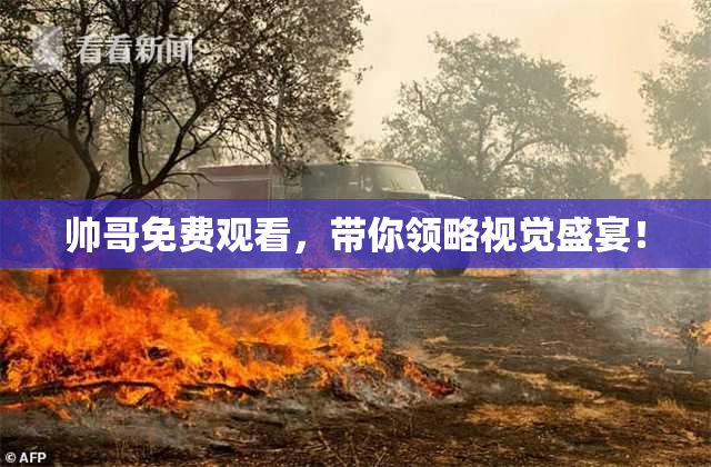 帅哥免费观看，带你领略视觉盛宴！