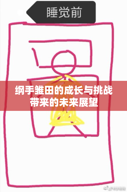 纲手雏田的成长与挑战带来的未来展望