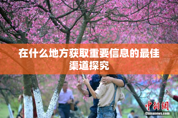 在什么地方获取重要信息的最佳渠道探究