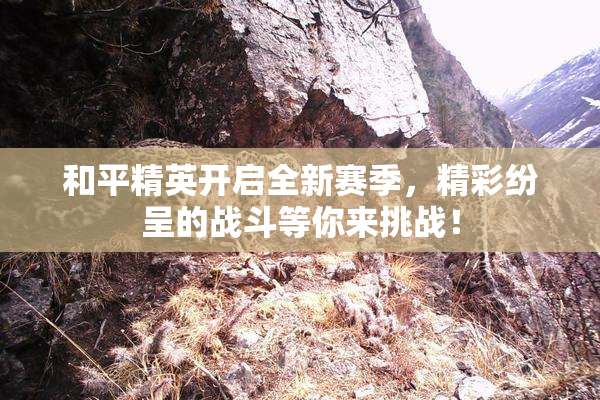 和平精英开启全新赛季，精彩纷呈的战斗等你来挑战！