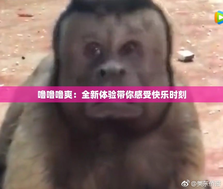 噜噜噜爽：全新体验带你感受快乐时刻