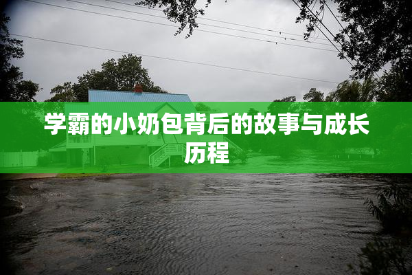 学霸的小奶包背后的故事与成长历程