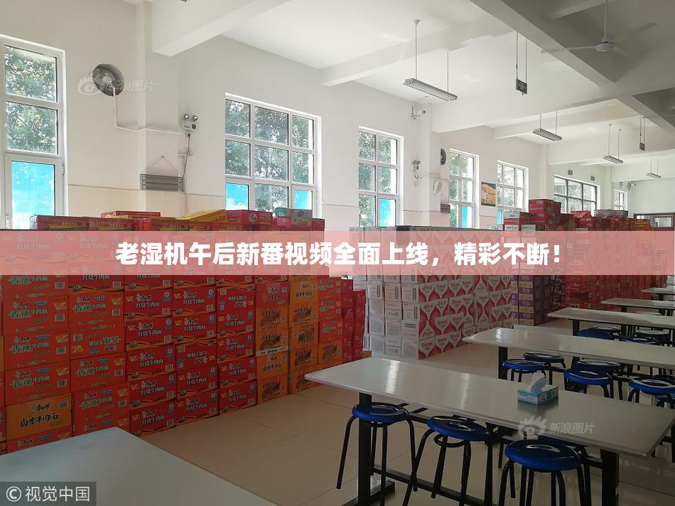 老湿机午后新番视频全面上线，精彩不断！