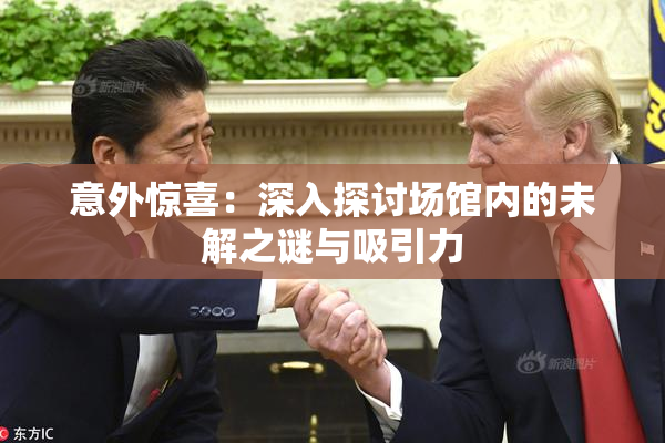 意外惊喜：深入探讨场馆内的未解之谜与吸引力