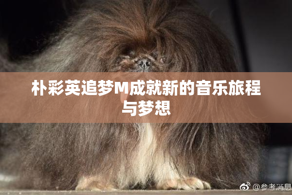 朴彩英追梦M成就新的音乐旅程与梦想
