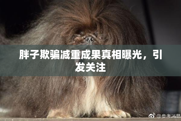 胖子欺骗减重成果真相曝光，引发关注