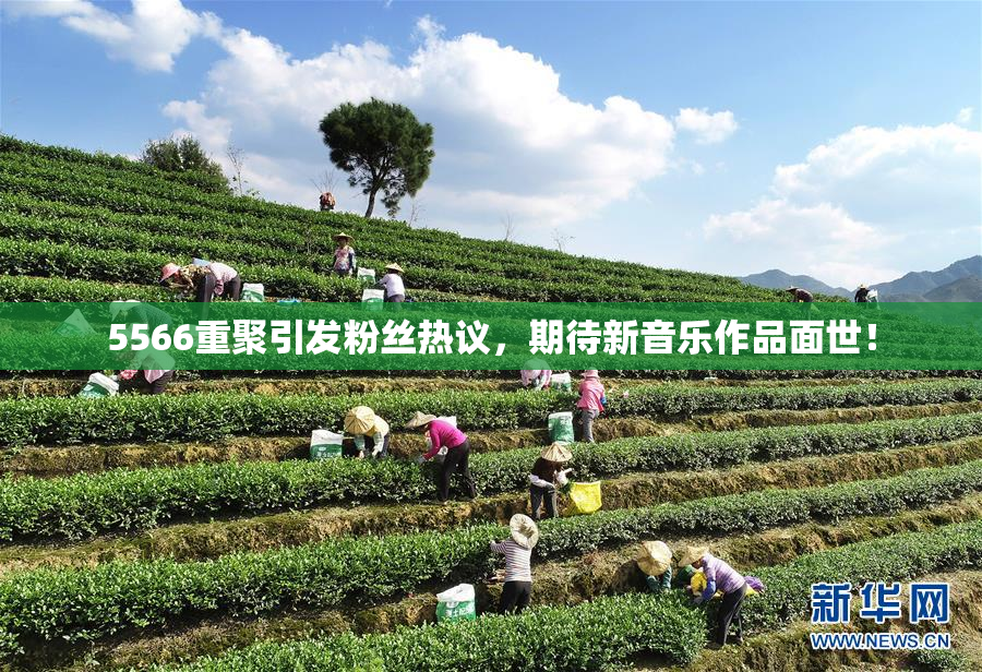 5566重聚引发粉丝热议，期待新音乐作品面世！