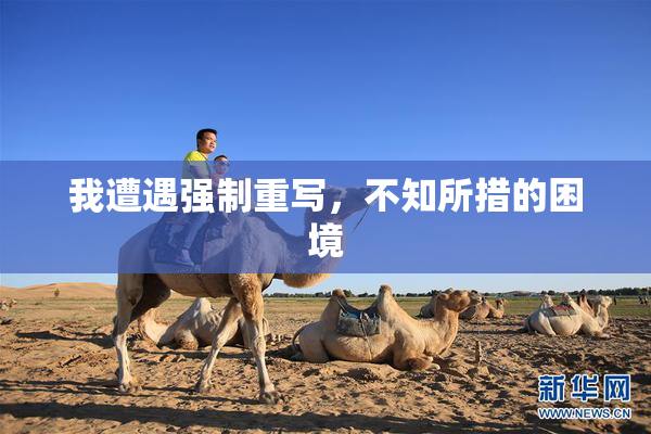 我遭遇强制重写，不知所措的困境