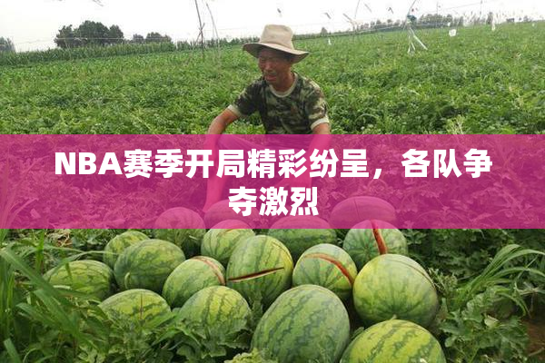 NBA赛季开局精彩纷呈，各队争夺激烈