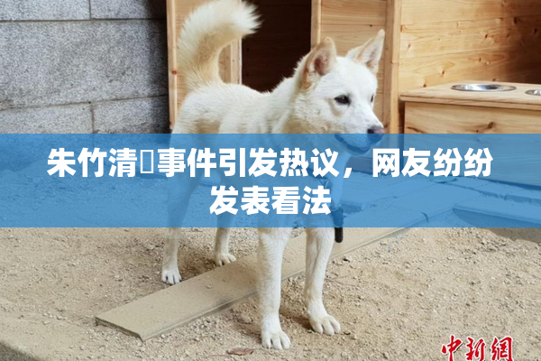 朱竹清婬事件引发热议，网友纷纷发表看法