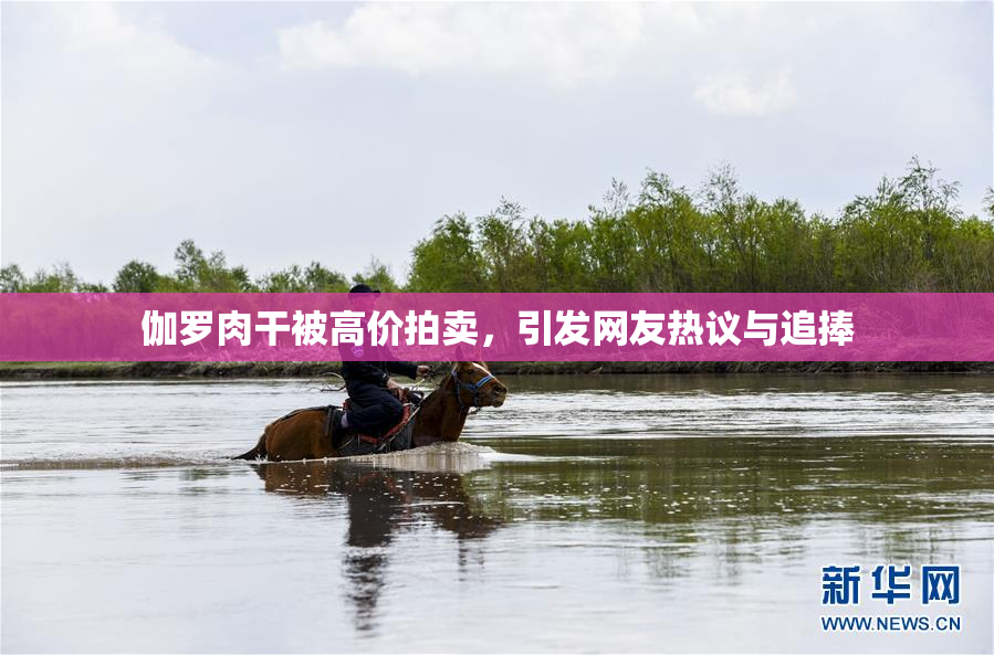 伽罗肉干被高价拍卖，引发网友热议与追捧