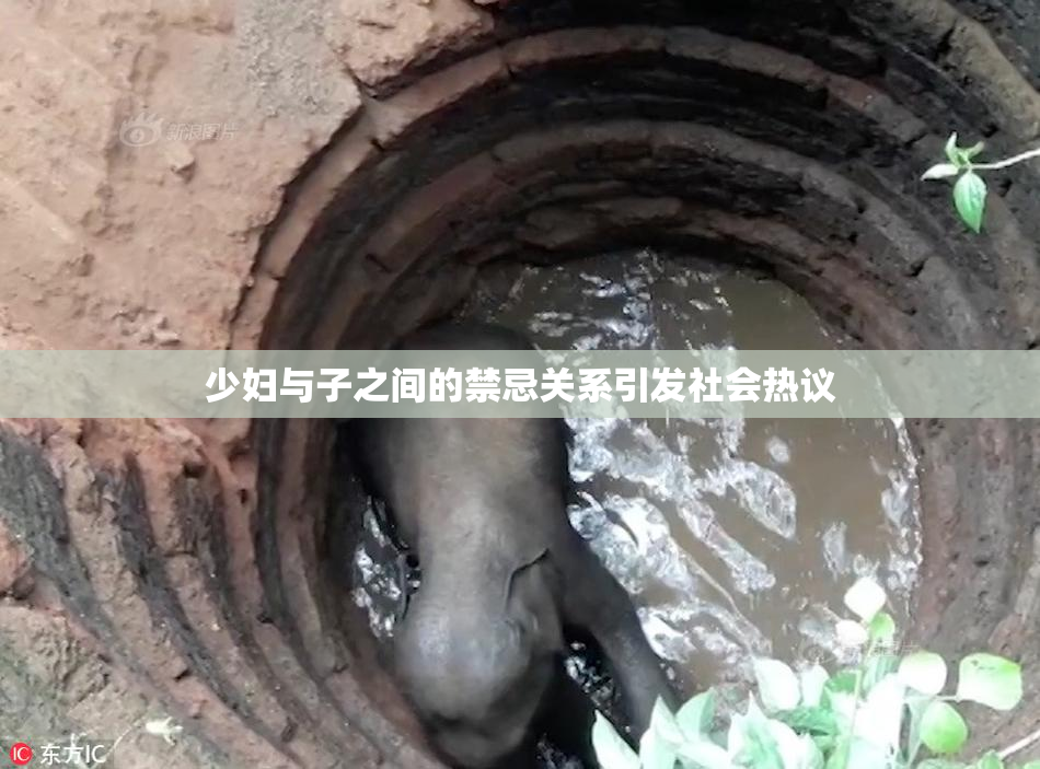 少妇与子之间的禁忌关系引发社会热议
