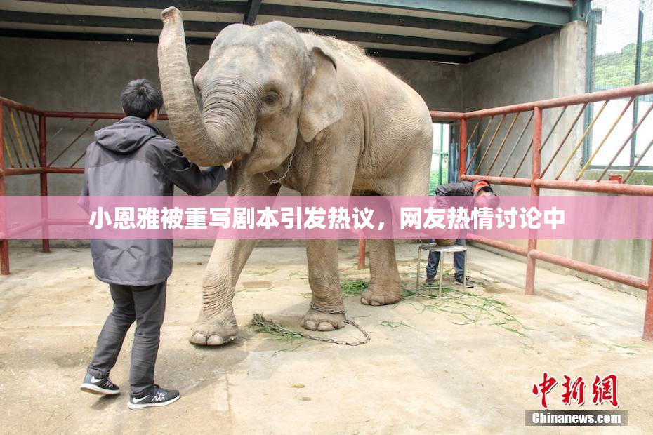 小恩雅被重写剧本引发热议，网友热情讨论中