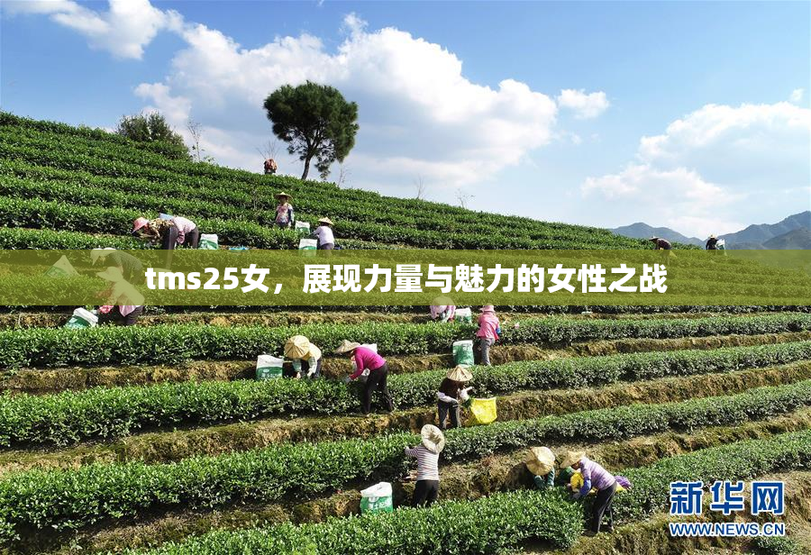 tms25女，展现力量与魅力的女性之战