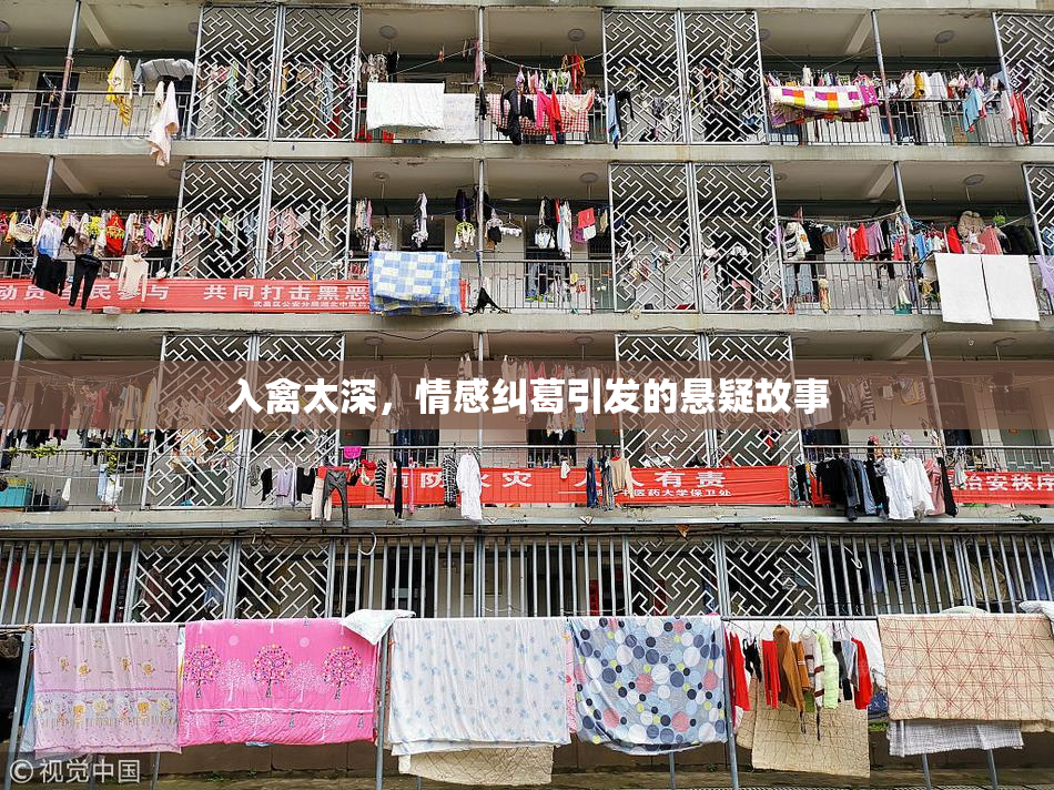 入禽太深，情感纠葛引发的悬疑故事