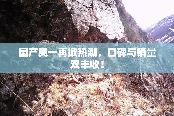 国产爽一再掀热潮，口碑与销量双丰收！