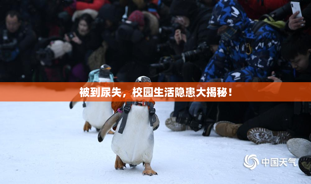 被到尿失，校园生活隐患大揭秘！